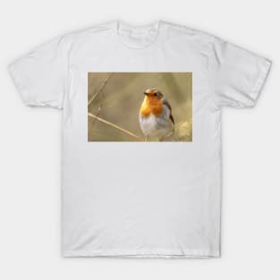 Robin looking up T-Shirt